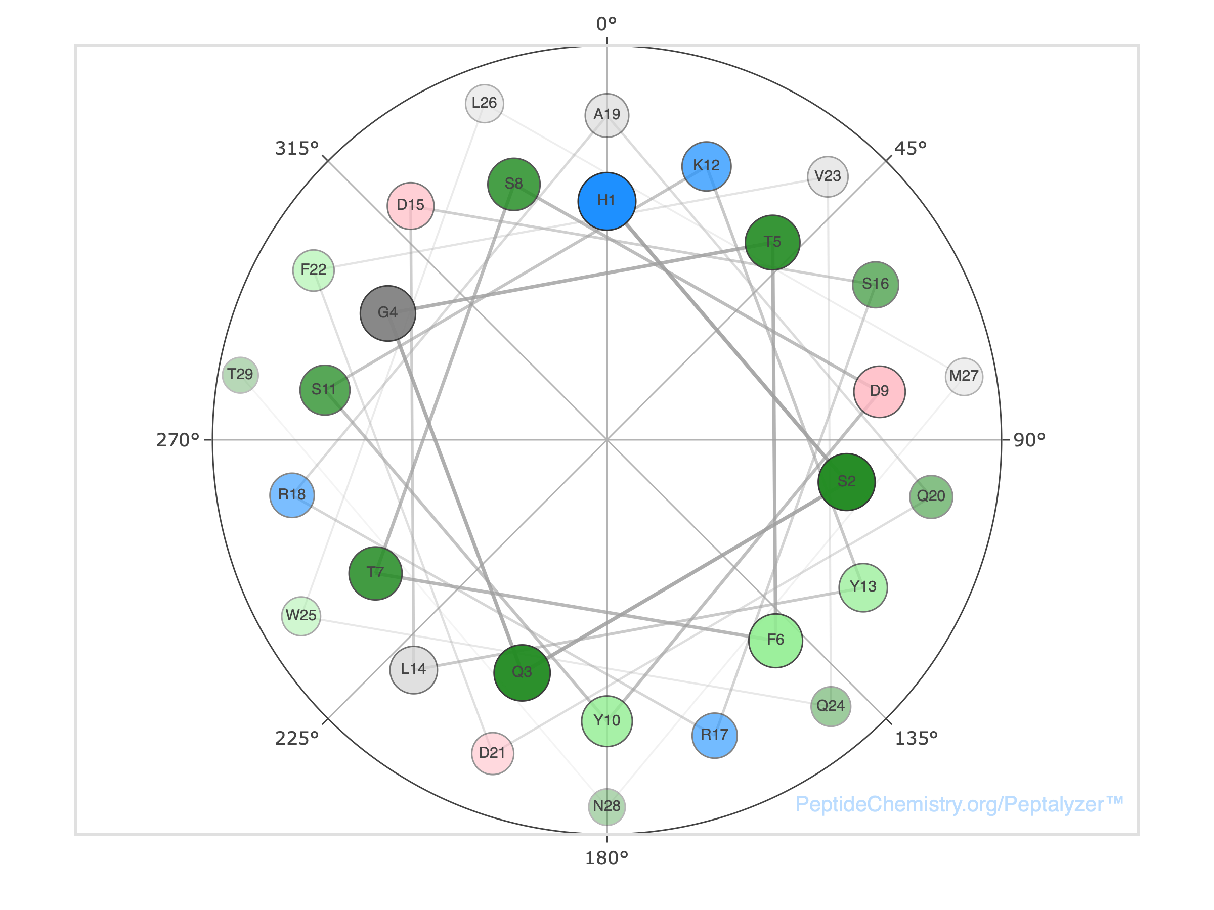 Helical wheel diagram of Glucagon's C-terminus showing a clear segregation of hydrophobic residues (F22, V23, W25, L26) on one face and polar/charged residues (D21, Q24, N28) on the other.