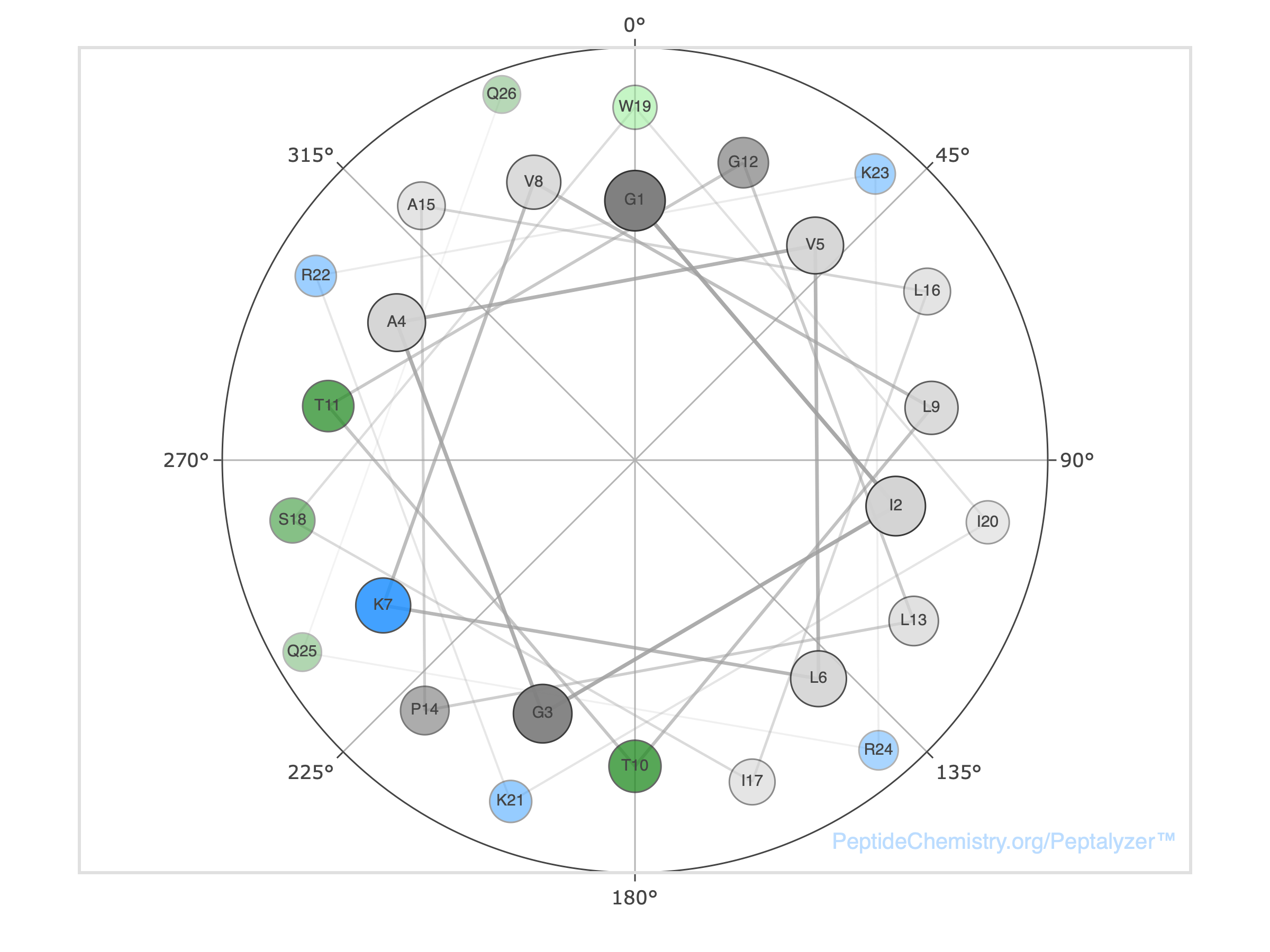 Helical wheel projection of the Melittin alpha-helix showing segregation of hydrophobic non-polar residues to the right side and hydrophilic charged residues to the left side.